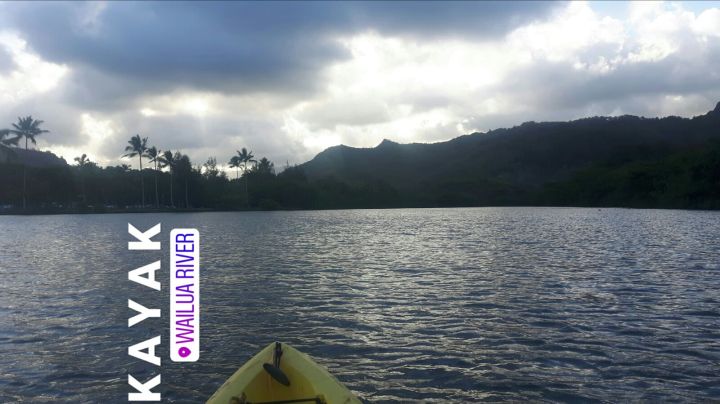 1204f398-4a30-4b33-8f6c-21bf513e8c3a