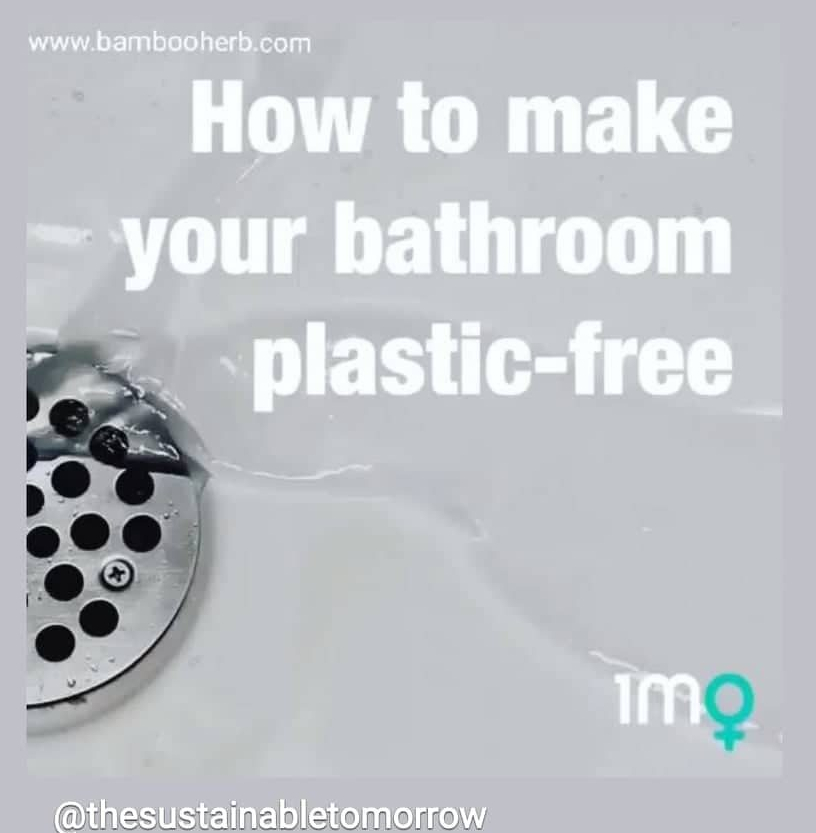 58724850_2361025757505061_1456006647922032640_n